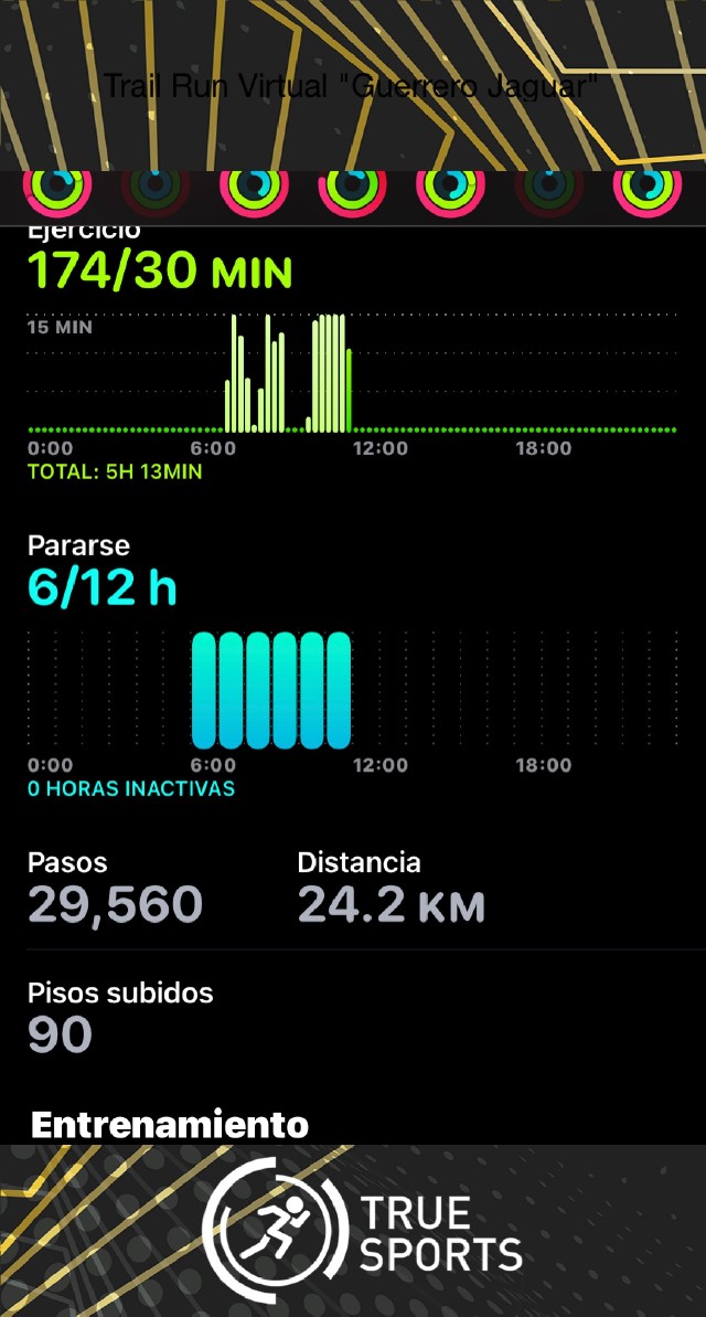 Rosa Angela Palomino Hernandez