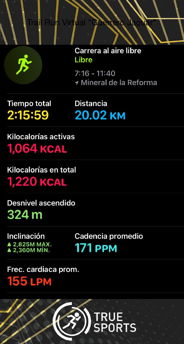 Rosa Angela Palomino Hernandez