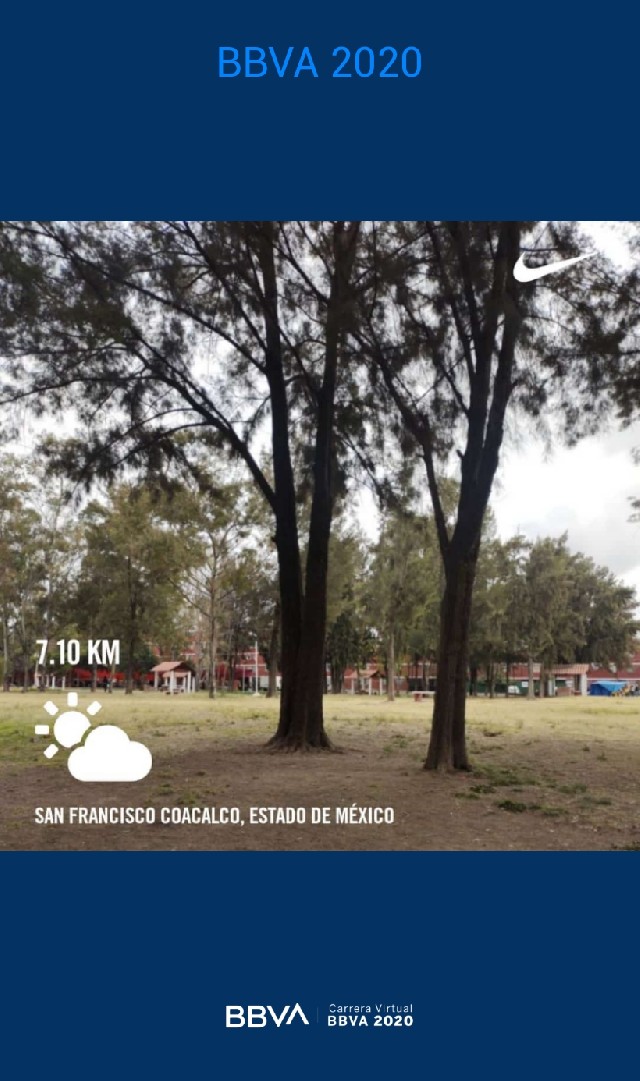 Irlemy Guillermo Vargas