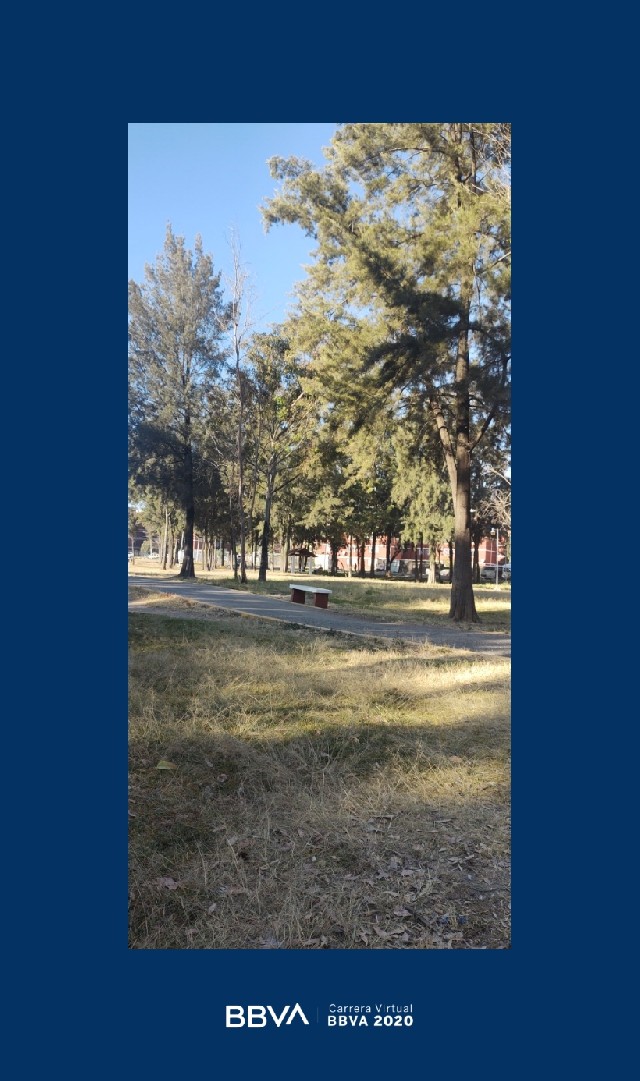 Irlemy Guillermo Vargas