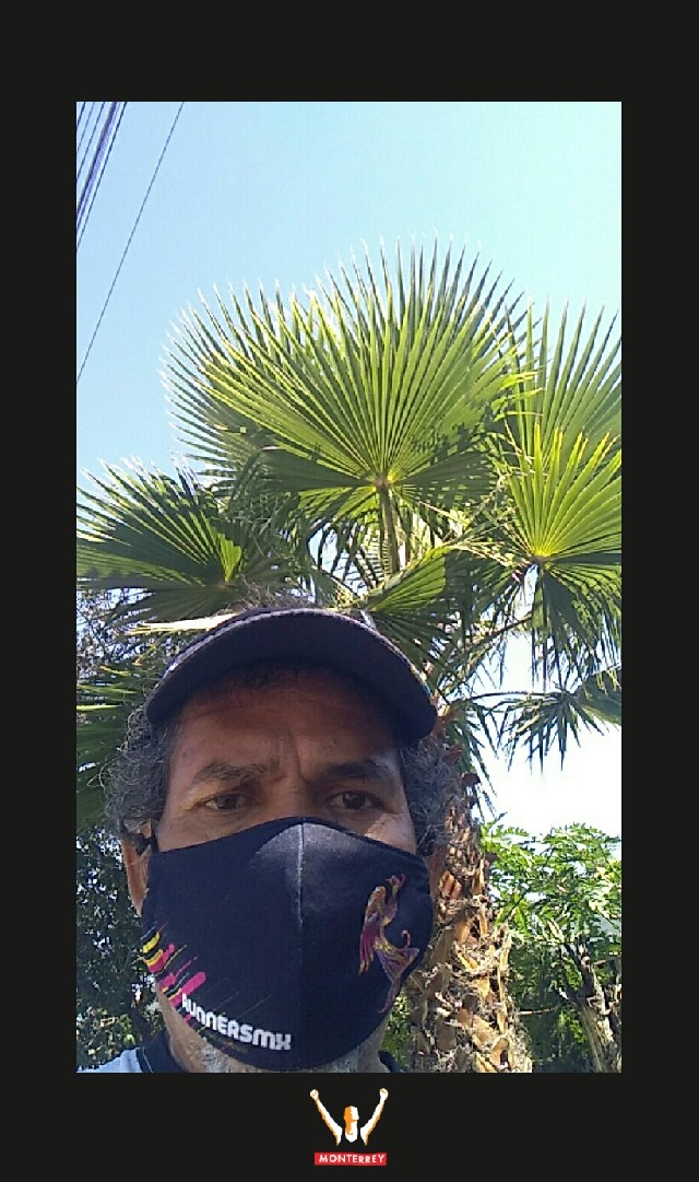 Gerardo Martínez López