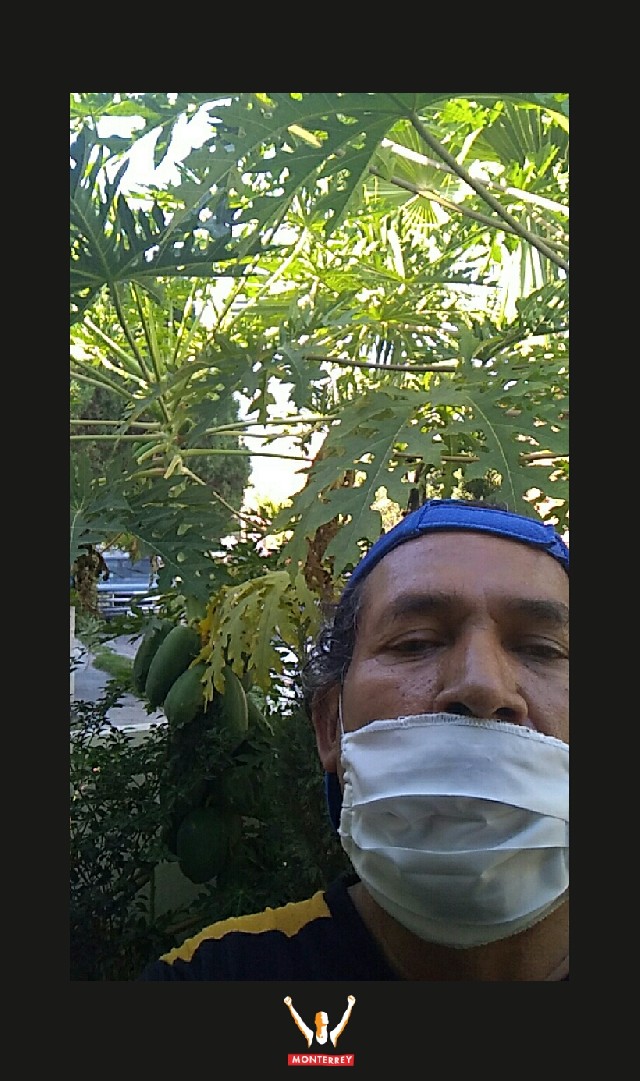 Gerardo Martínez López