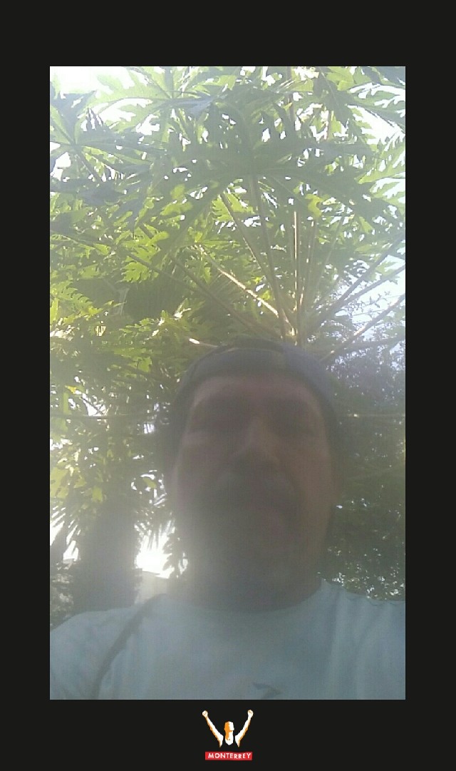 Gerardo Martínez López