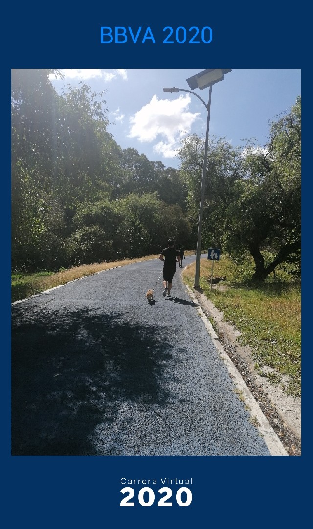 Priscila Andrea Bifano Palacios