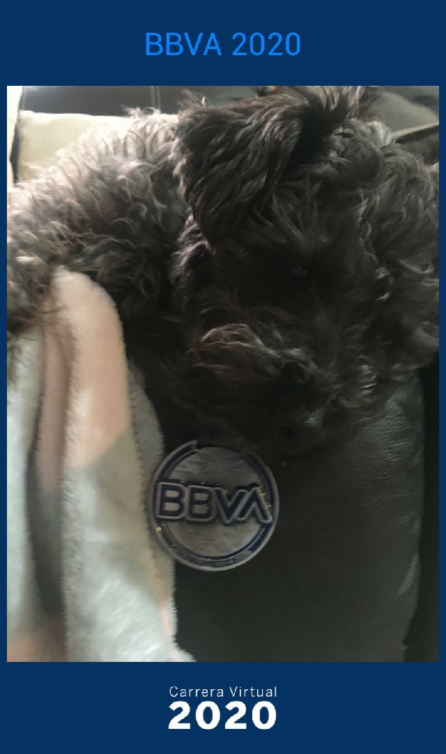 Lucina Gatica Ramirez