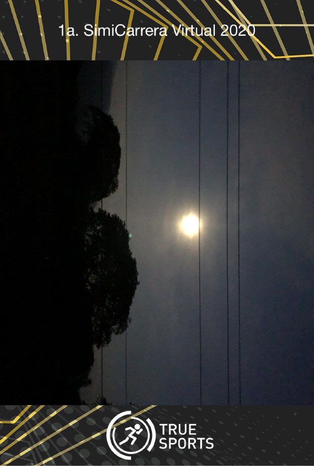 ISAI  SANCHEZ JUAREZ