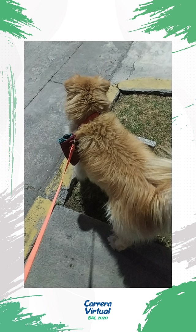 adrian Melchor  DonBarredora