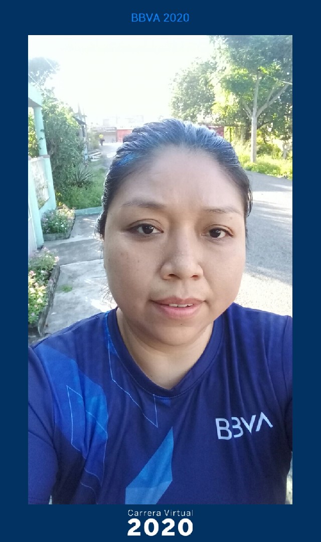 claudia del carmen santos gomez