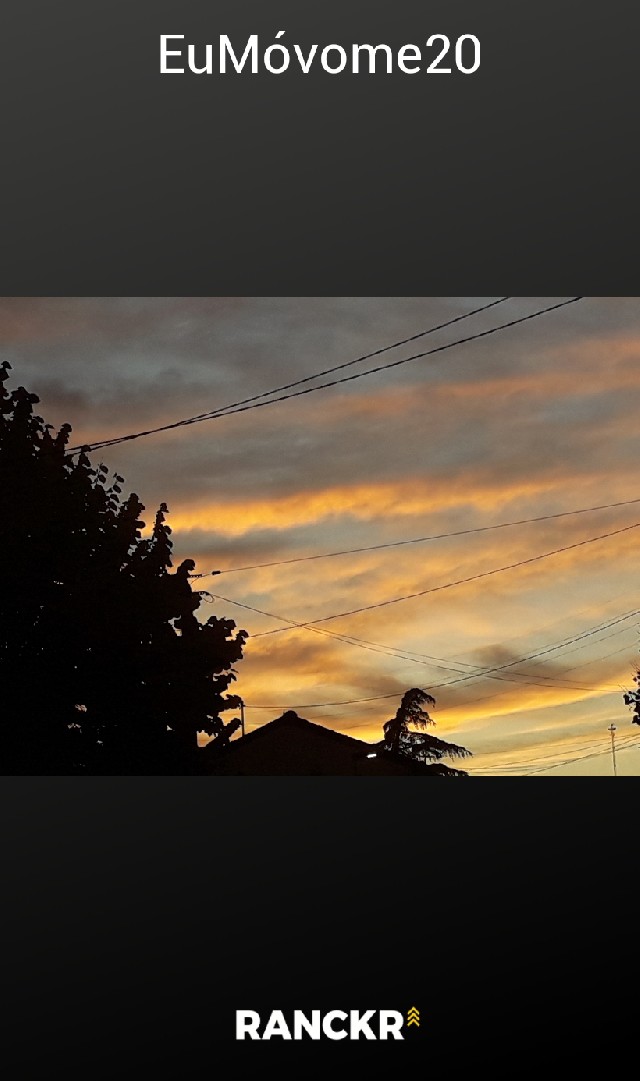 Fuensanta Fernandez Estepa