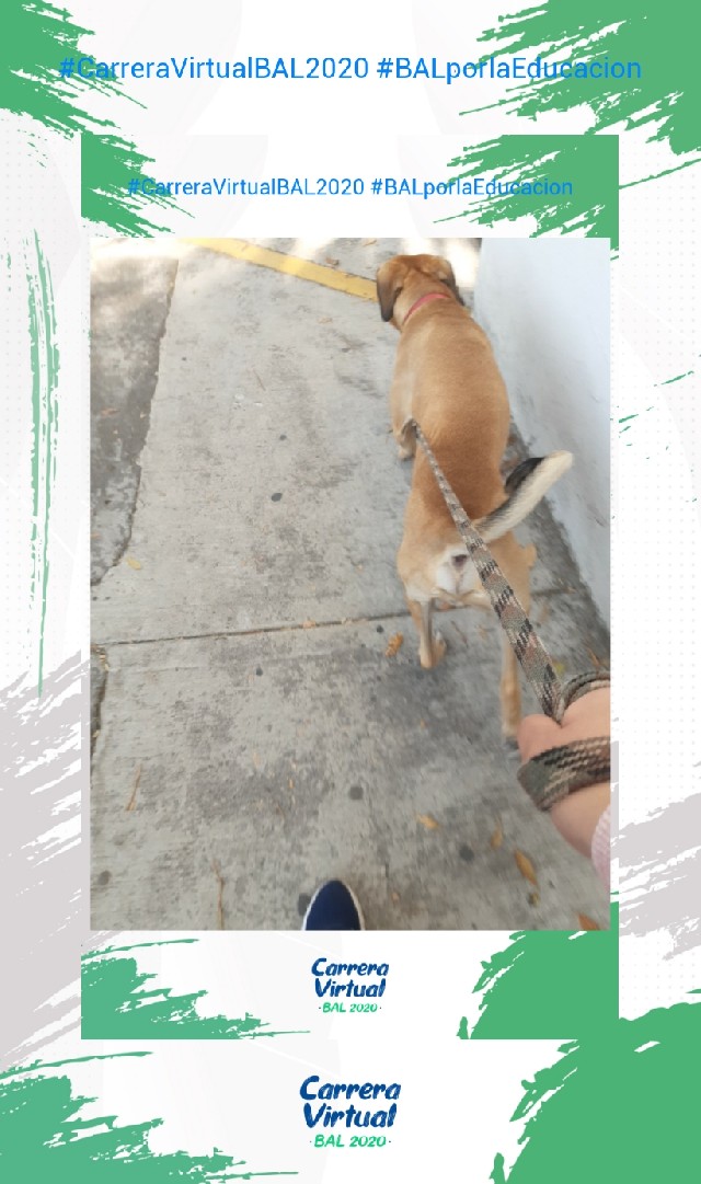 JESICA ISABEL  MARQUEZ ALVEAR 