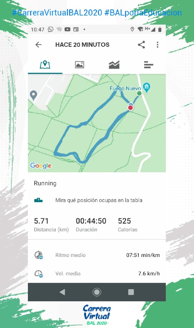 GUILLERMO  VILCHIS  RIVERA 