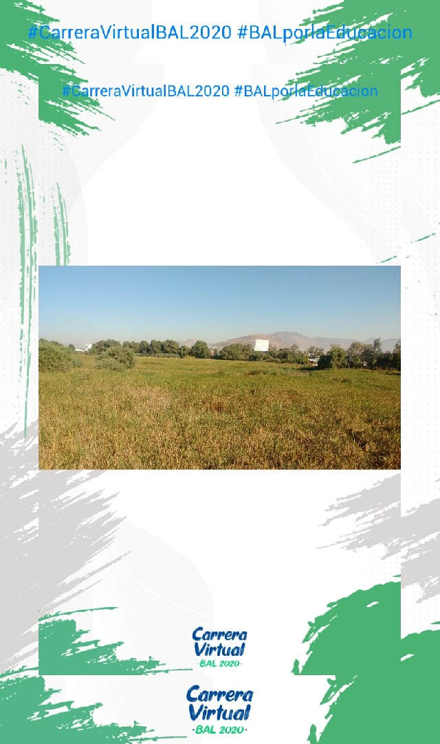 Pedro Antonio  Rea Ordóñez