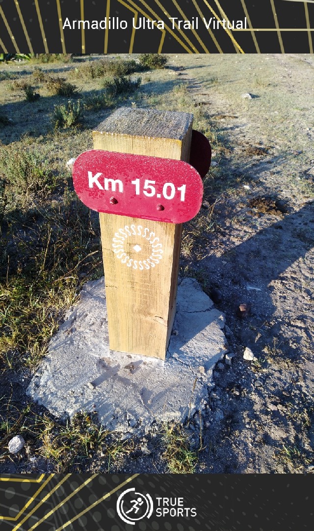 rodrigo Castillo Covarrubias 