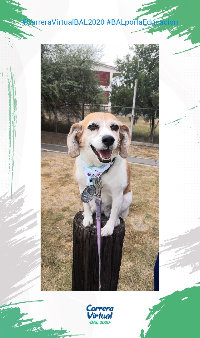 ALMA ROSA MATA ALANÍS