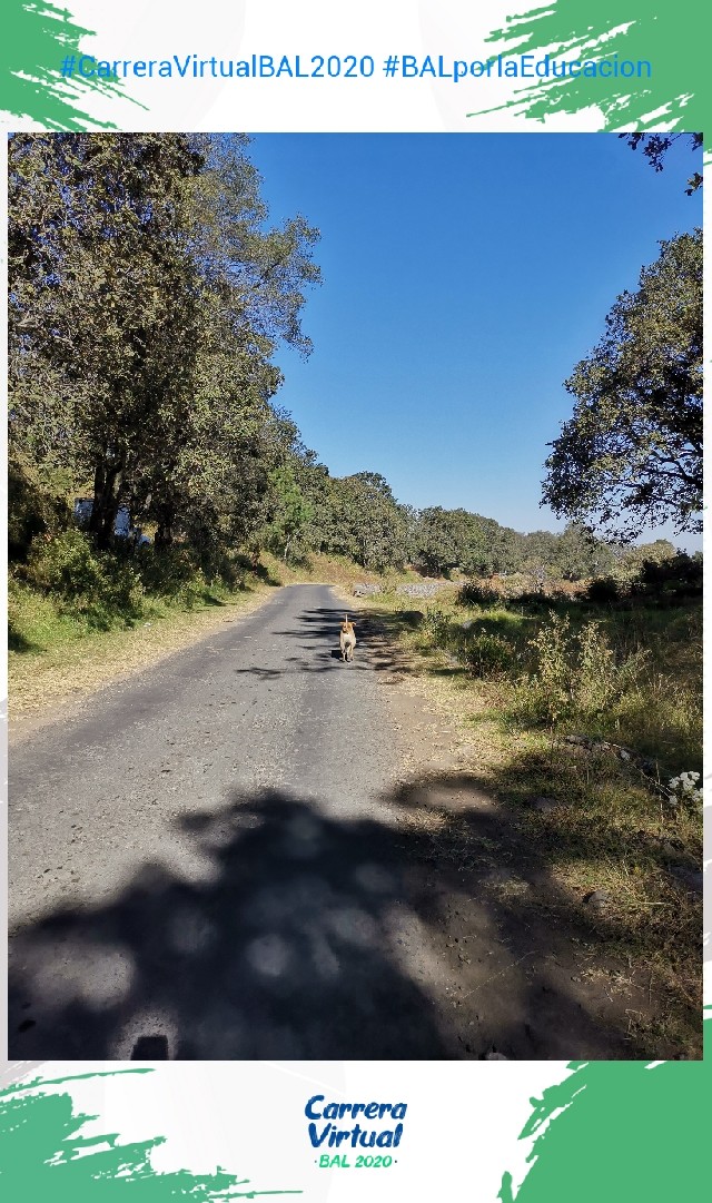 Azucena  Morales Bracho 