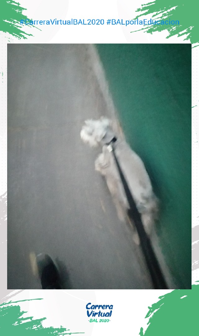 virginia  López Cruz 