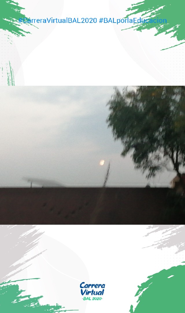 virginia  López Cruz 