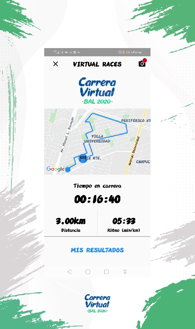 Hortencia  pulido martinez