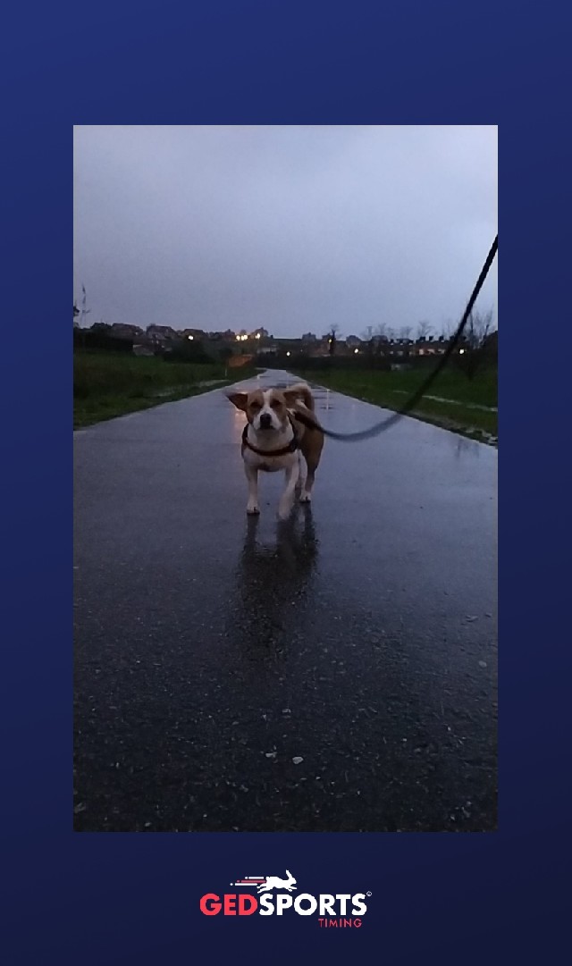 Alexandra Alcalde Rodriguez