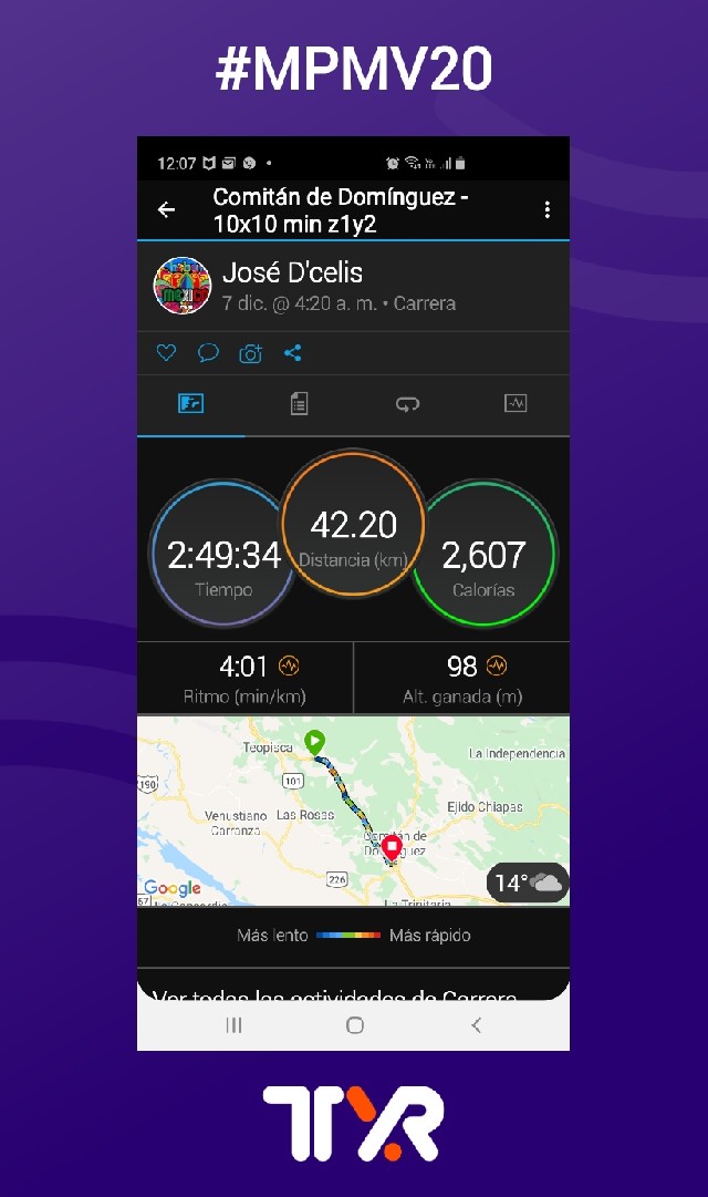 José  D'celis Pinto 