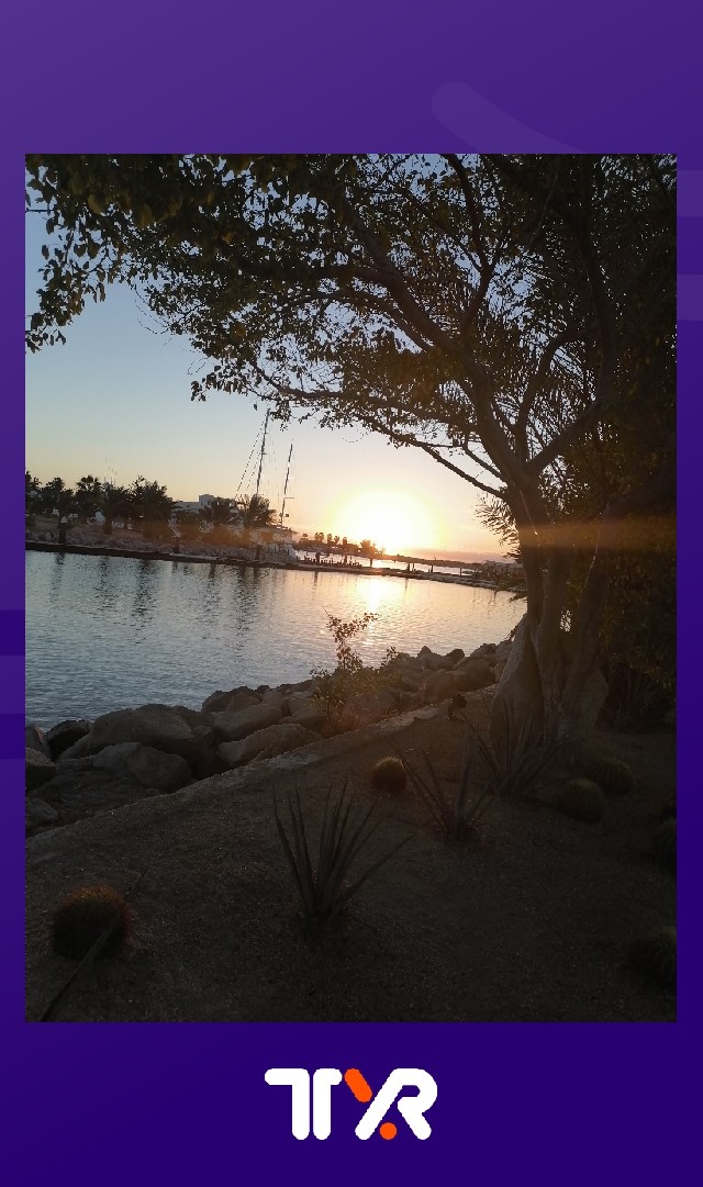 Alma Lidia Romero Valdez