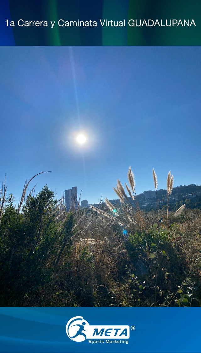 Mauricio  Hernández 