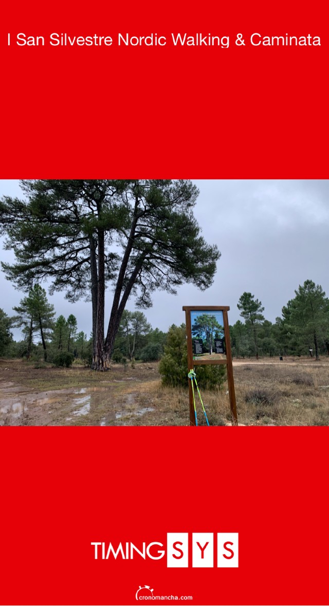 Nacho Laserna Herraiz