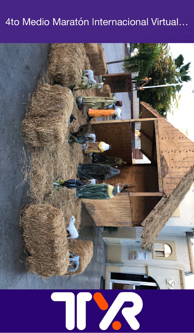 reyna carreño perez