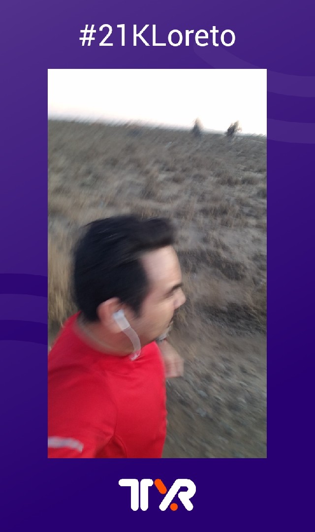 José Ramón Domínguez Castro