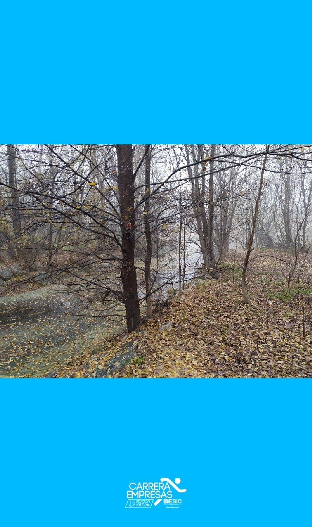 José Manuel Ambrona