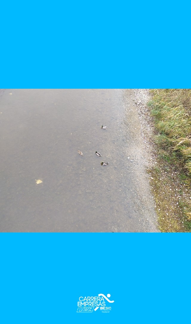 José Manuel Ambrona