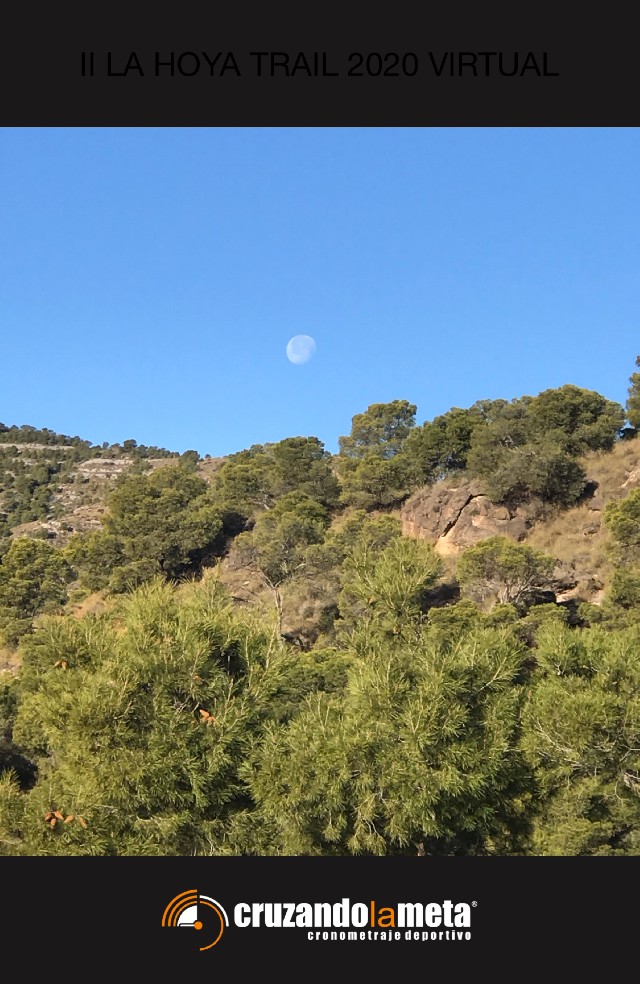 mgertru cuadrado bayonas