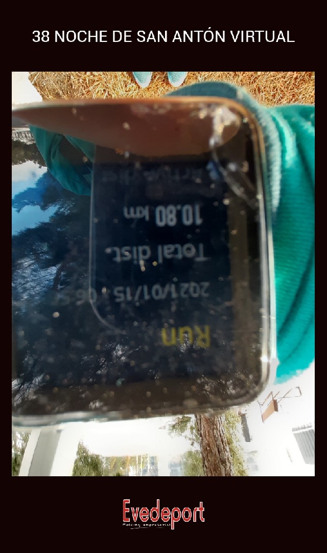 Luisa Suarez Mendoza