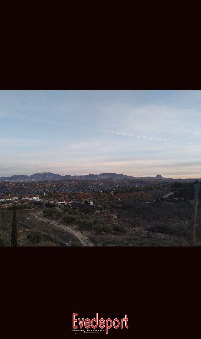 Manuel Jesús Rodriguez Alcala