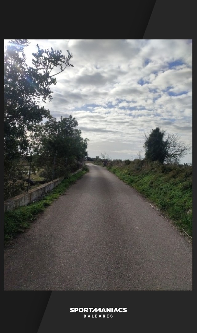 Alejandra Gabriela Santos Romero