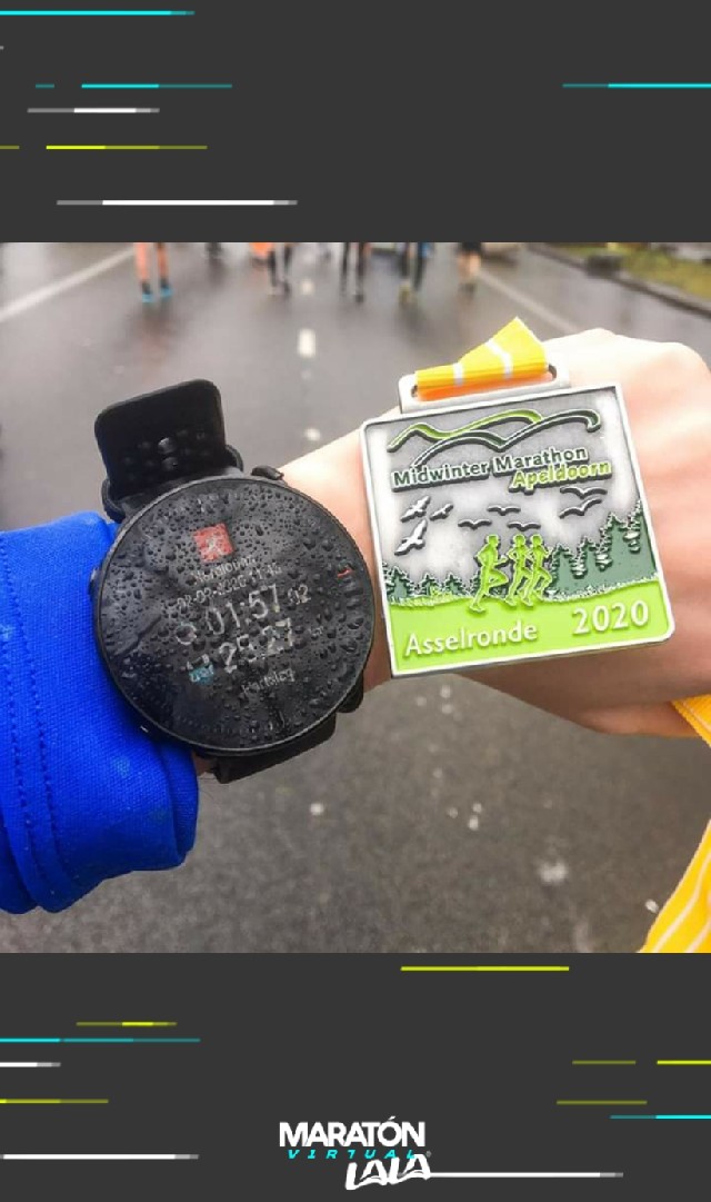 Javier Alejandro Gallegos Carranza