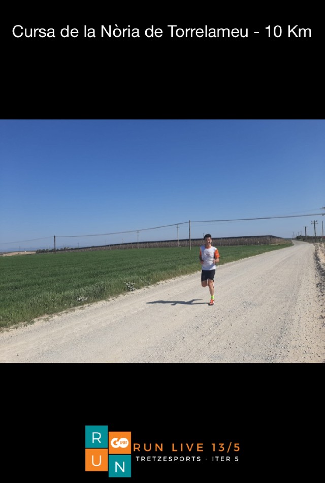 Josep Maria ribes borràs