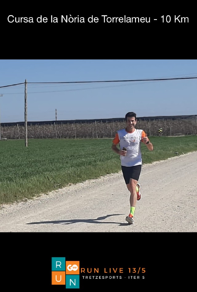 Josep Maria ribes borràs