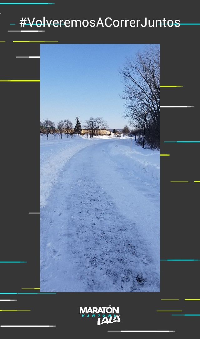 María Ines Arciniega Leyva 