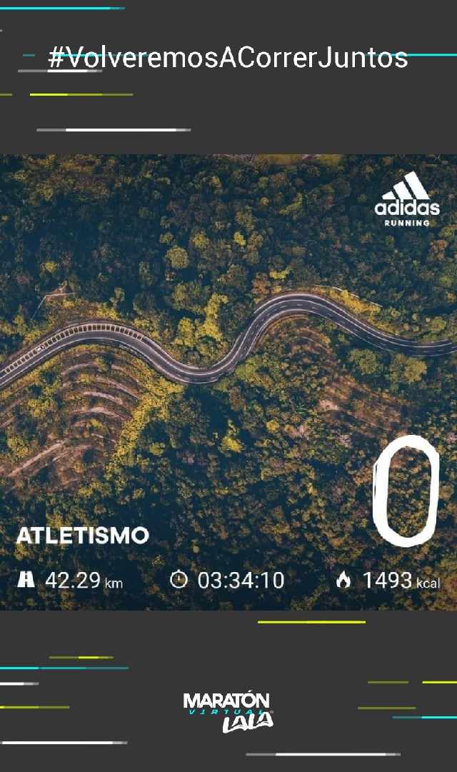 Bartolo  Vera Gonzalez