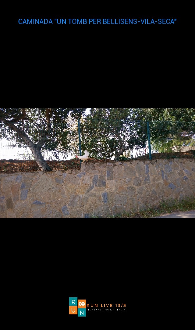 Mari Carmen Rodríguez luque