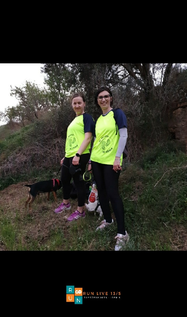 Annemarie Sangeorzan