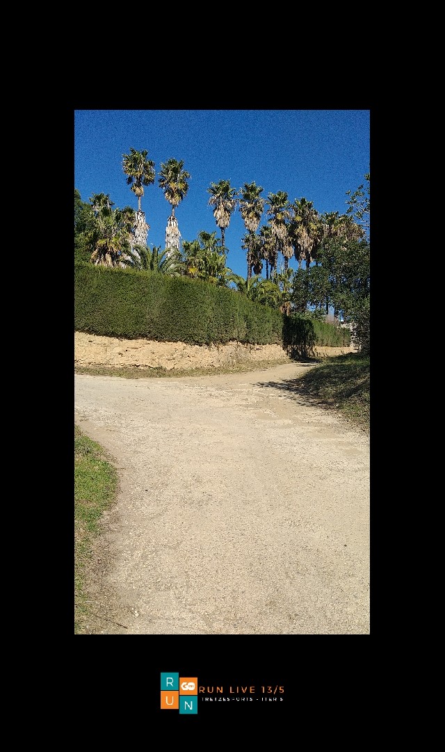 JOSE MIGUEL UCLES DIAZ