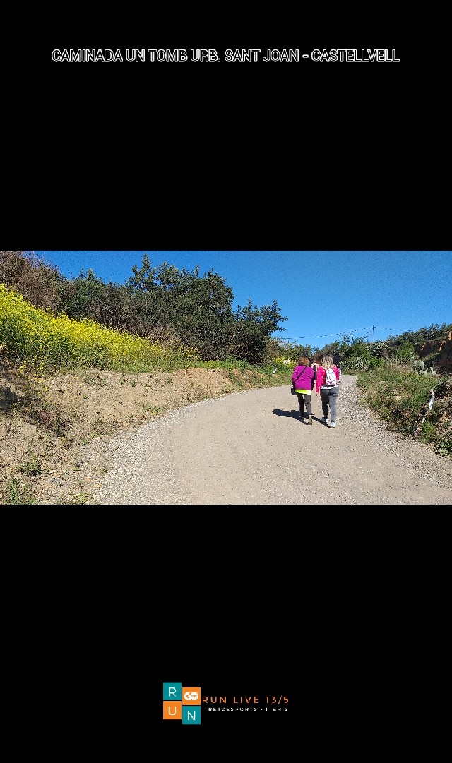 JOSE MIGUEL UCLES DIAZ