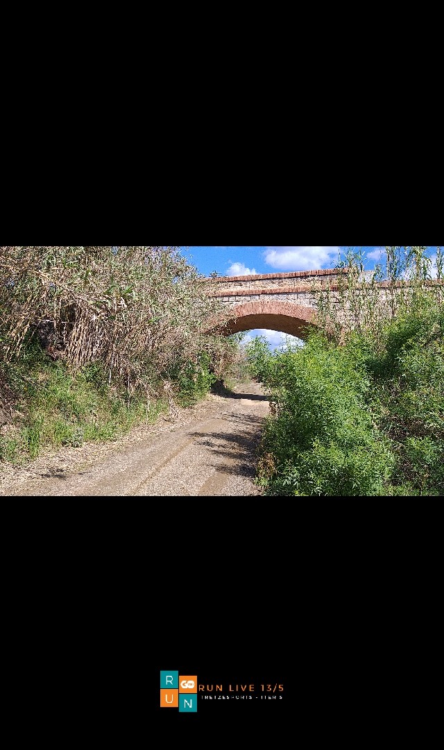 JOSE MIGUEL UCLES DIAZ