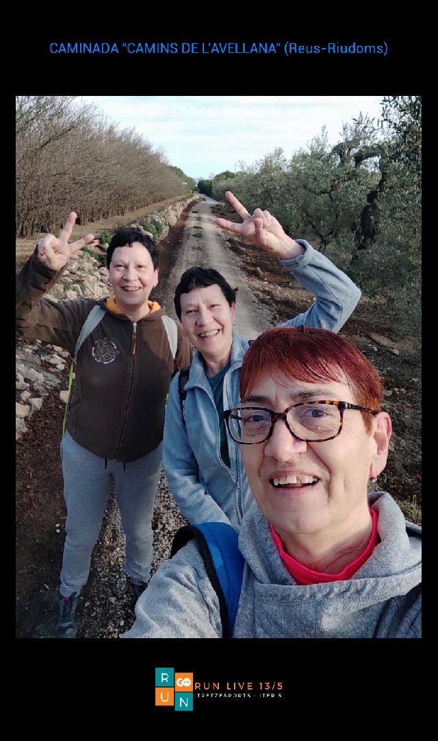 Misericordia Alegre Llaberia