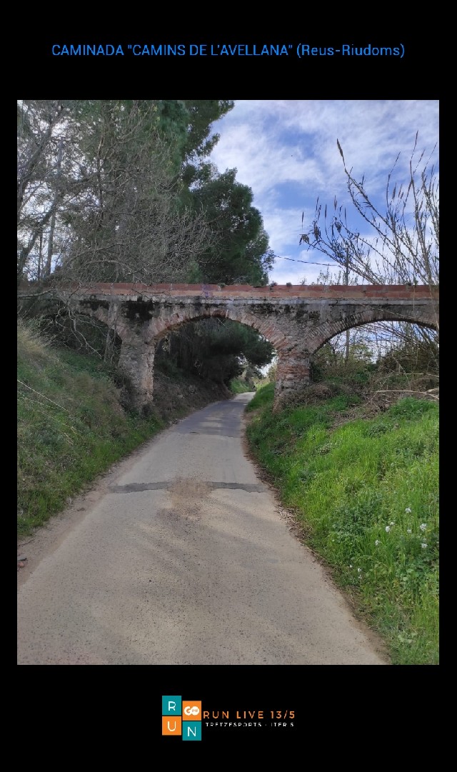 Misericordia Alegre Llaberia