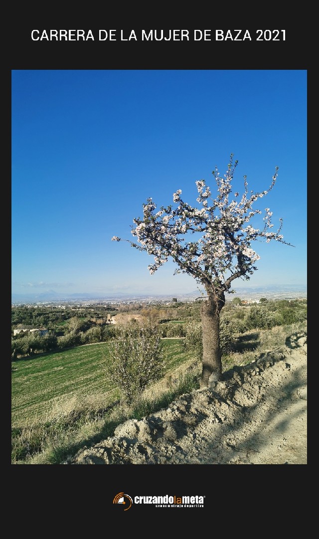 jose López Cañadas
