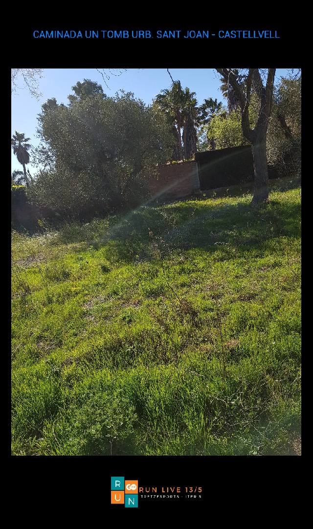 pilar  González González 