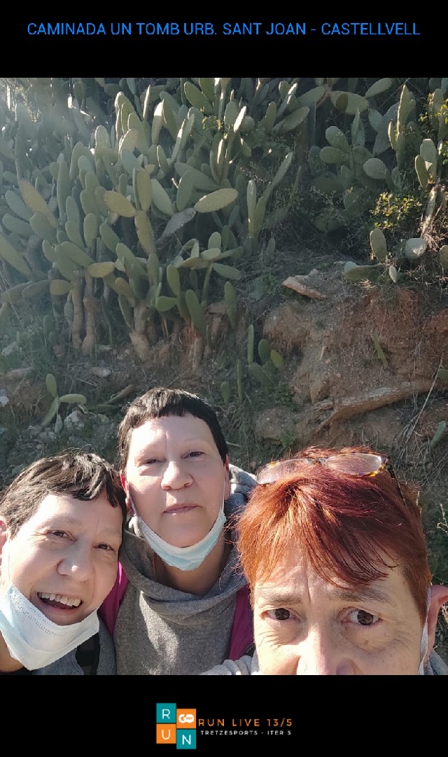 Elvira Alegre Llaveria